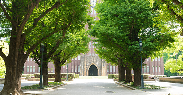 大学中退者の割合