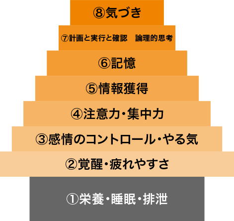 人間の持つ高次脳機能そのものと、高次脳機能障害のリハビリには、下図のような階層性があります。